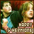  Harry/Hermione FL